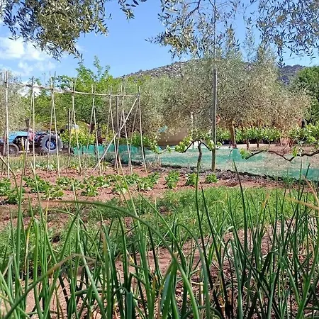 Holiday home Mas En Calma Cabanes (Valencia)