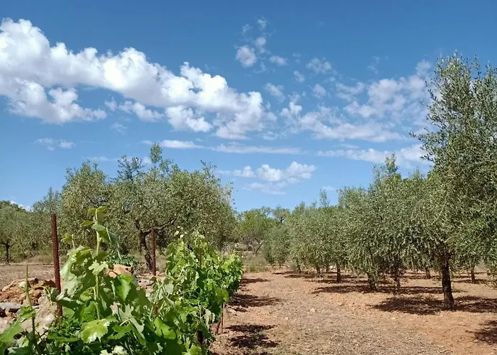 Mas En Calma Vakantiehuis *